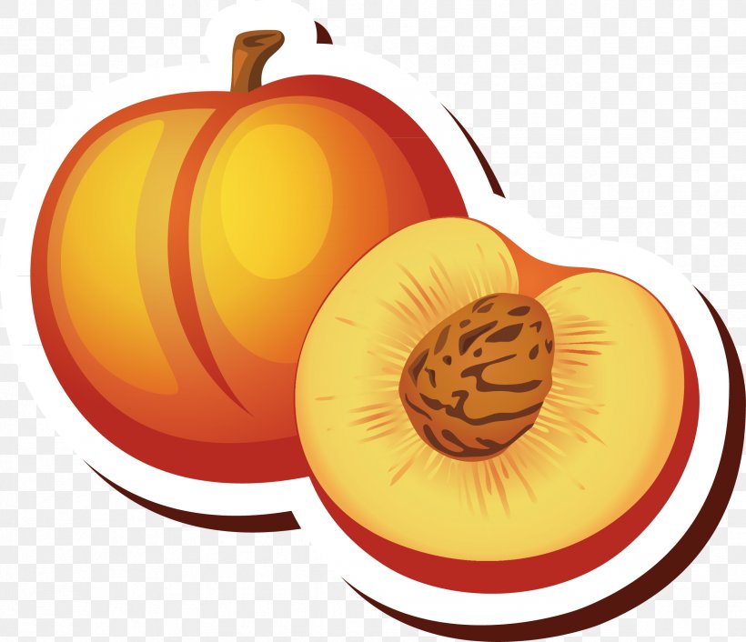 Peach Fruit Cartoon Vecteur, PNG, 2373x2044px, Peach, Apple, Calabaza, Cartoon, Cucumber Gourd And Melon Family Download Free