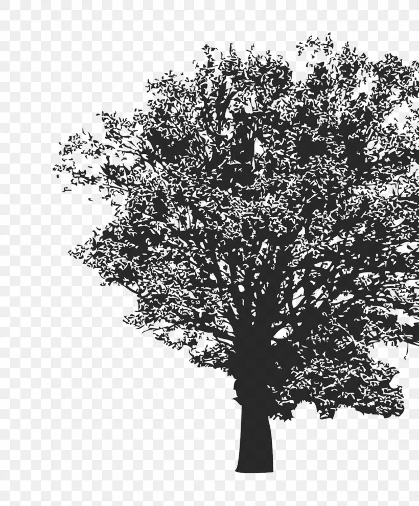 Poetry Art Clip Art, PNG, 1552x1875px, Poetry, Art, Black And White, Botany, Branch Download Free