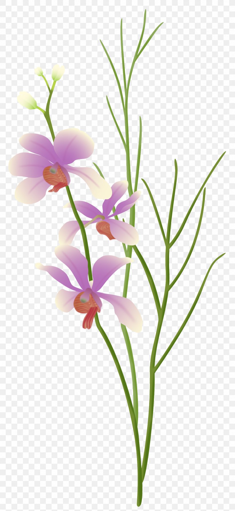 Cut Flowers Floral Design Plant Floristry, PNG, 1348x2936px, Cut Flowers, Branch, Dendrobium, Flora, Floral Design Download Free