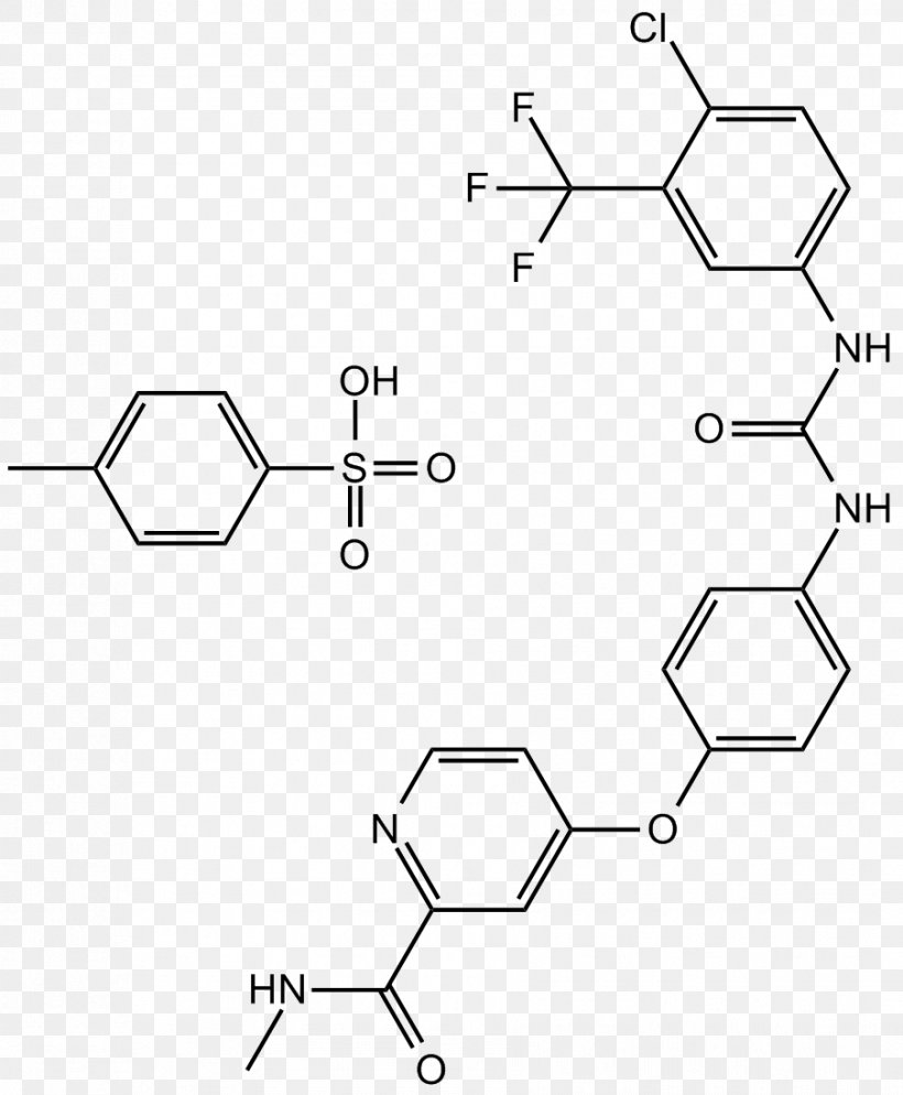 Ion Channel Purinergic Receptor P2X Purinoreceptor Cystic Fibrosis Transmembrane Conductance Regulator Membrane Transport Protein, PNG, 903x1095px, Ion Channel, Adenosine Triphosphate, Apoptosis, Area, Auto Part Download Free