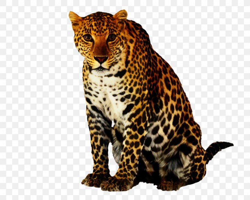 Leopard Clip Art Cheetah Jaguar, PNG, 1280x1024px, Leopard, African Leopard, Animal Figure, Big Cats, Black Panther Download Free