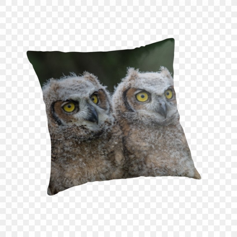 Owl Throw Pillows Cushion Snout Beak, PNG, 875x875px, Owl, Beak, Bird, Bird Of Prey, Cushion Download Free