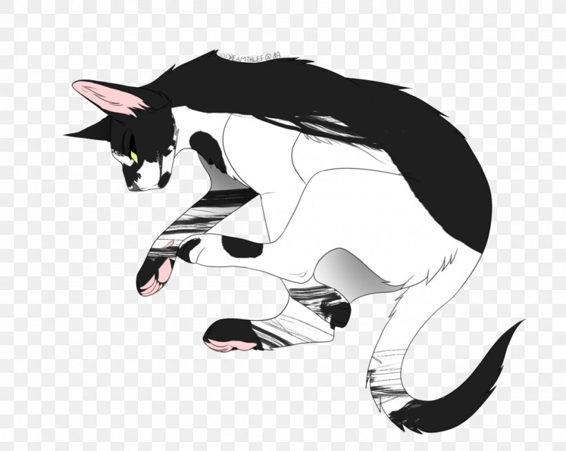 Whiskers Kitten Cat Dog Canidae, PNG, 1001x798px, Whiskers, Black And White, Canidae, Carnivoran, Cartoon Download Free