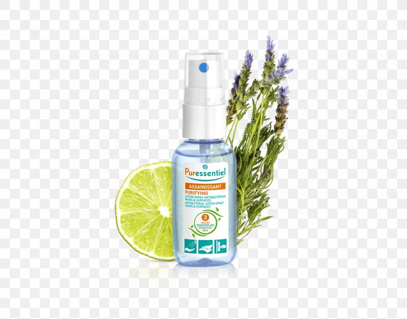 Hand Sanitizer Lotion Essential Oil Gel, PNG, 970x760px, Hand Sanitizer, Aromatherapy, Deodorant, Disinfectants, Essential Oil Download Free