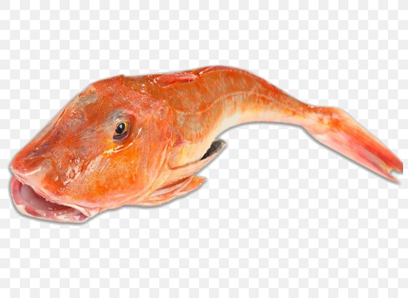 Northern Red Snapper Fish Soup Tub Gurnard Sea Robins, PNG, 800x600px, Northern Red Snapper, Animal Source Foods, Bony Fish, Cuisine, Fauna Download Free