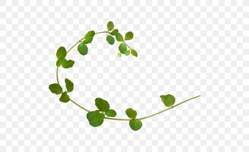 Plant Green Vine, PNG, 500x500px, Plant, Branch, Color, Computer Software, Data Compression Download Free