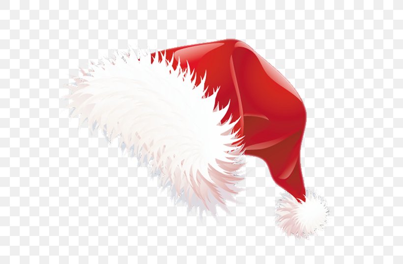 Santa Claus Christmas Santa Suit Hat Clip Art, PNG, 600x537px, Santa Claus, Christmas, Close Up, Drawing, Eyelash Download Free