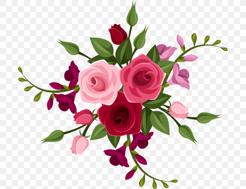 Garden Roses Floral Design Centifolia Roses, PNG, 699x630px, Garden Roses, Centifolia Roses, Cut Flowers, Drawing, Floral Design Download Free