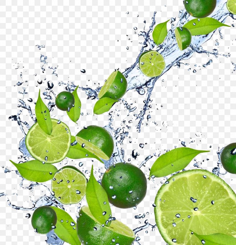 Juice Lemonade Lime Iced Tea, PNG, 1024x1064px, Juice, Branch, Citrus, Citrus Medica Var Dulcis, Drink Download Free