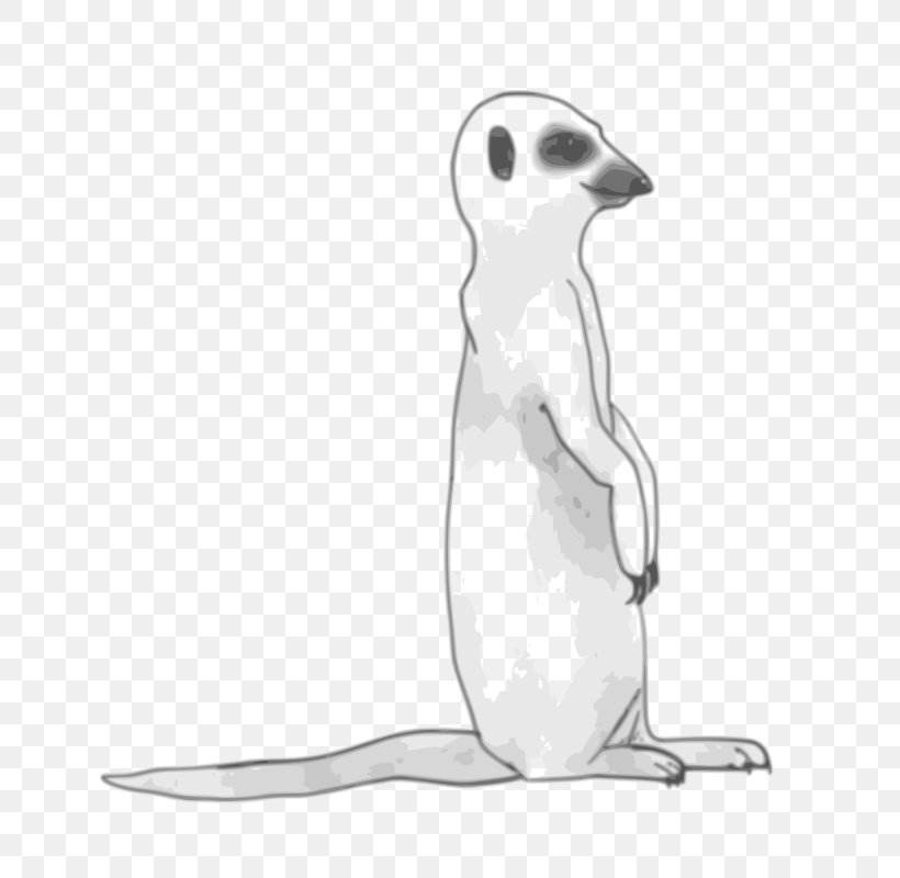 Meerkat Drawing Clip Art, PNG, 733x800px, Meerkat, Beak, Bird, Black And White, Carnivoran Download Free