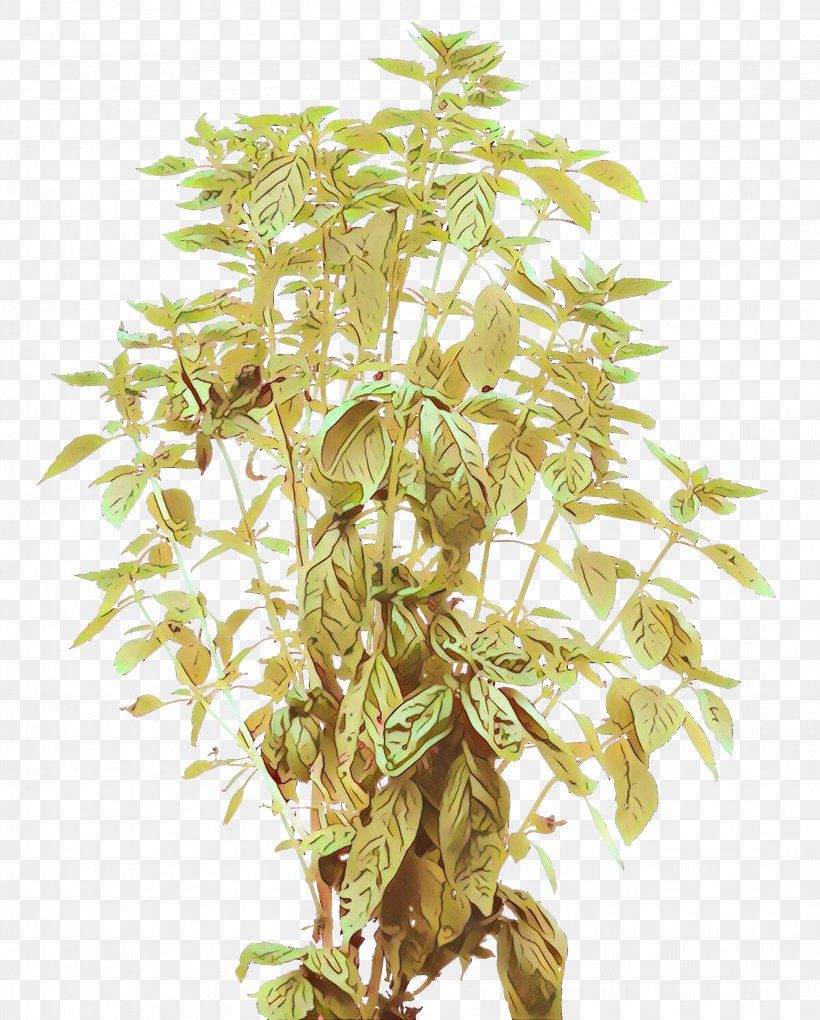 Shrub Tree Plants Vine, PNG, 2047x2548px, Shrub, Flower, Flowering Plant, Garden, Leaf Download Free