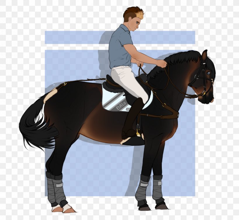 Stallion Hunt Seat Horse Rein Equestrian, PNG, 900x830px, Stallion, Animal Training, Art, Bit, Bridle Download Free