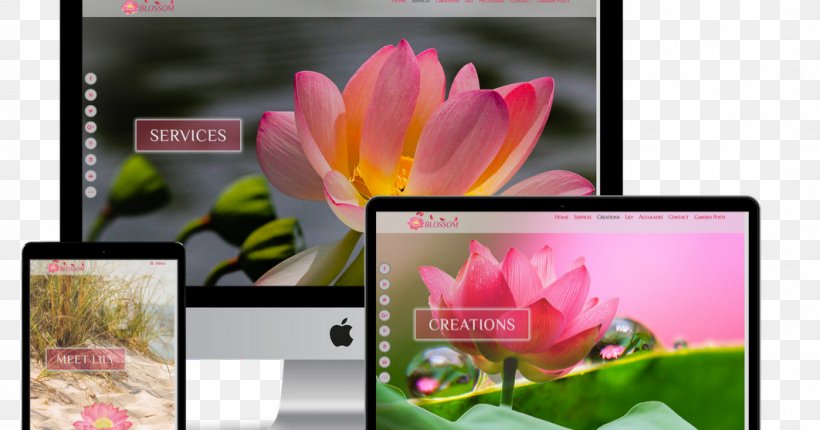 Video Petal Floral Design, PNG, 1062x557px, Video, Advertising, Brand, Computer, Display Device Download Free
