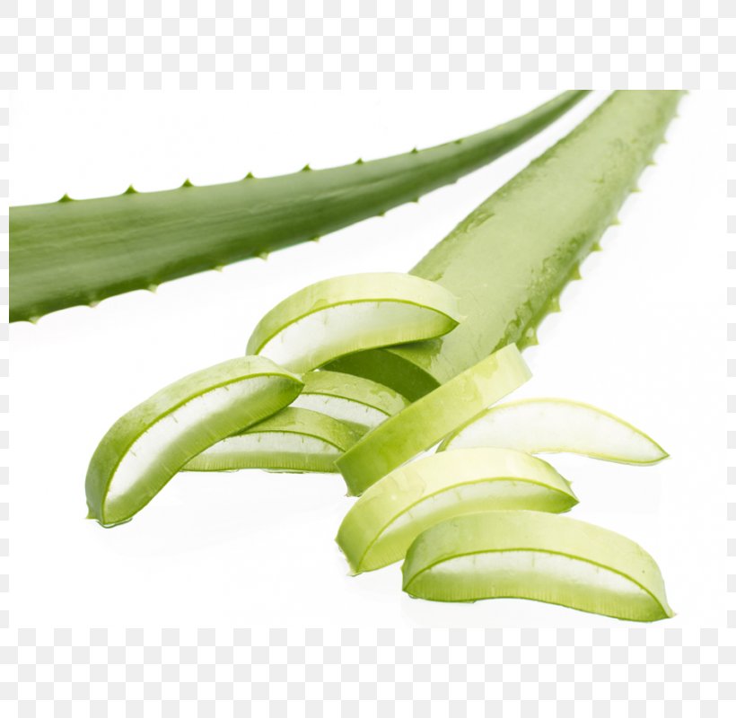 Aloe Vera Skin Forever Living Products Volume Plant, PNG, 800x800px, Aloe Vera, Aloe, Forever Living Products, Gel, Lima Bean Download Free