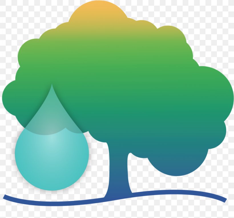 California Tree Water Conservation Irrigation, PNG, 1024x955px, California, Arborist, Canopy, Conservation, Garden Download Free