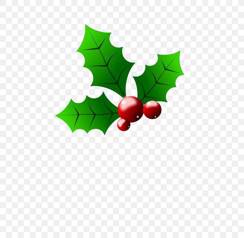 Christmas Clip Art, PNG, 566x800px, Christmas, Aquifoliaceae, Aquifoliales, Branch, Christmas Ornament Download Free
