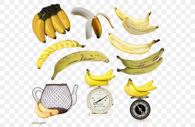 Cooking Banana Fried Plantain Vegetarian Cuisine Potato Chip, PNG, 600x537px, Banana, Banana Family, Bananas, Berry, Cooking Download Free