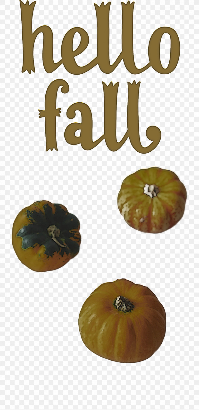 Hello Fall Fall Autumn, PNG, 1462x3000px, Hello Fall, Autumn, Fall, Fruit, Meter Download Free