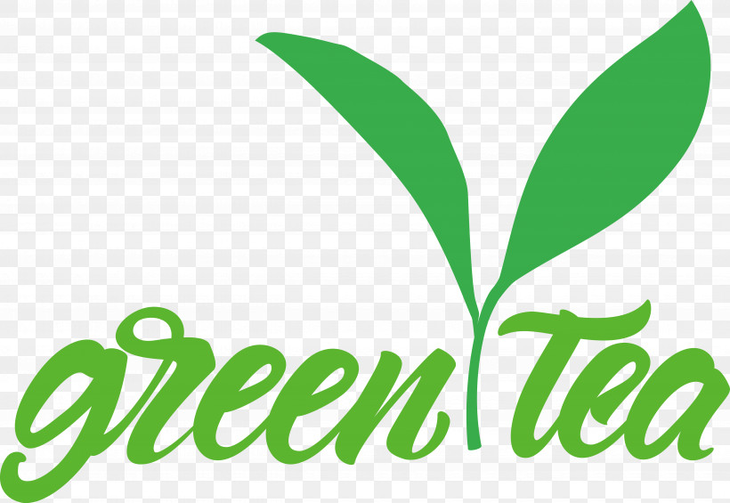 Leaf Plant Stem Logo Line Tree, PNG, 5145x3550px, Leaf, Biology, Line, Logo, Mathematics Download Free