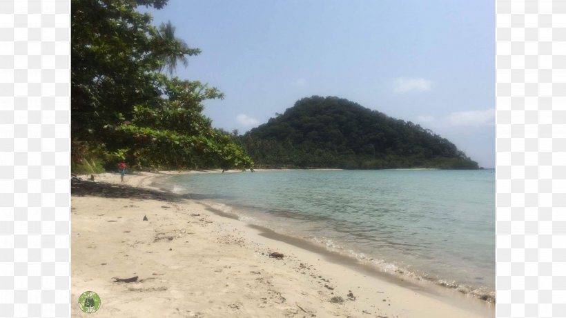 Beach Shore Plant Community Land Lot Coast, PNG, 4128x2322px, Beach, Bay, Coast, Coastal And Oceanic Landforms, Community Download Free