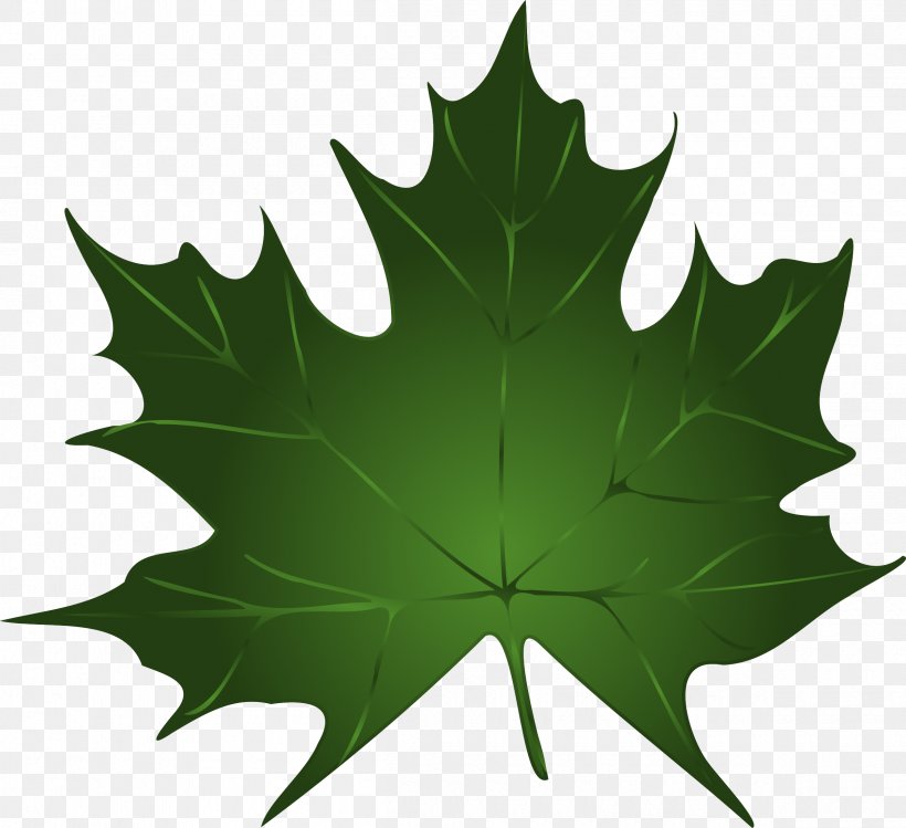 Maple Leaf Green Autumn Leaf Color Clip Art, PNG, 2400x2194px, Maple Leaf, Autumn, Autumn Leaf Color, Canadian Gold Maple Leaf, Green Download Free