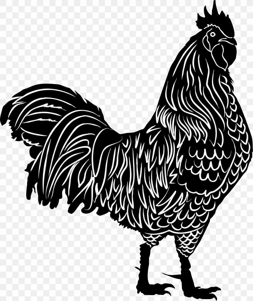 Rooster Silhouette Clip Art, PNG, 1863x2216px, Rooster, Beak, Bird, Black And White, Carnivoran Download Free