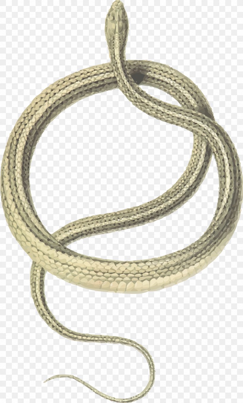 Snake Reptile Coluber Slender Racer Clip Art, PNG, 1452x2400px, Snake, Animal, Body Jewelry, Bracelet, Chain Download Free