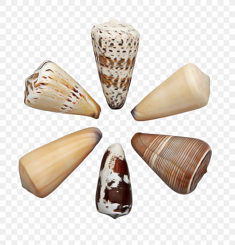 Conchology Geography Cone, PNG, 1003x1048px, Conchology, Bead, Bivalve, Clam, Conch Download Free