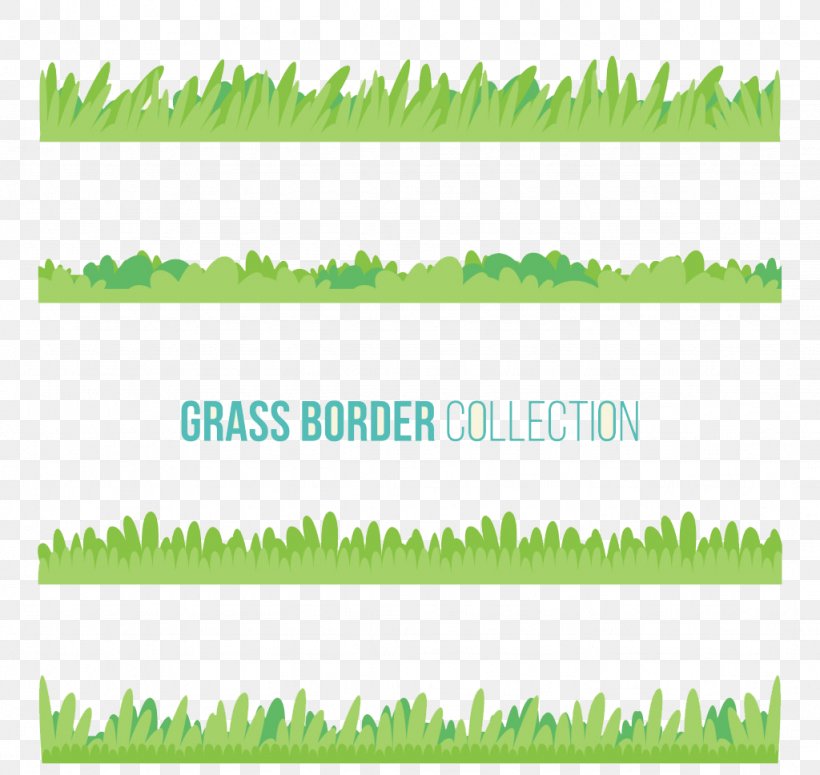 Euclidean Vector Download, PNG, 1024x968px, Green, Area, Drawing, Grass, Grass Family Download Free
