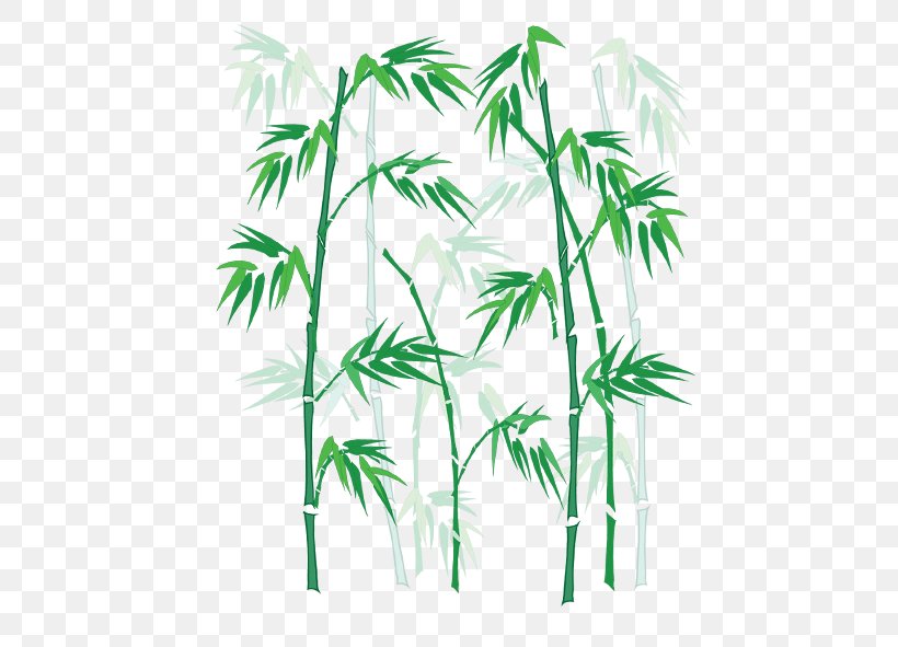 Bamboo Zongzi Bamboe Euclidean Vector, PNG, 591x591px, Bamboo, Bamboe, Branch, Grass, Green Download Free