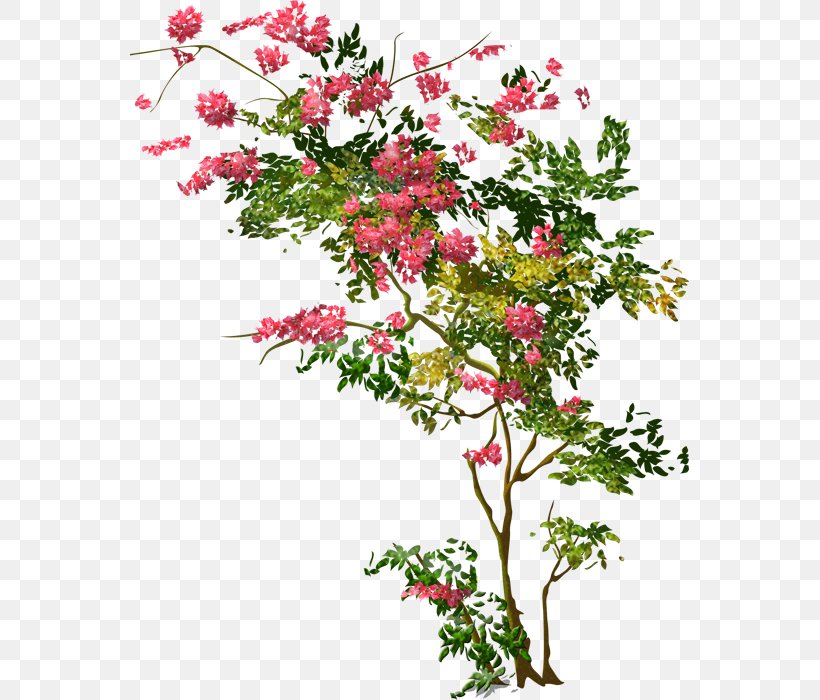 Tree Shrub Floral Design Clip Art, PNG, 559x700px, Tree, Branch, Cut Flowers, Flora, Floral Design Download Free