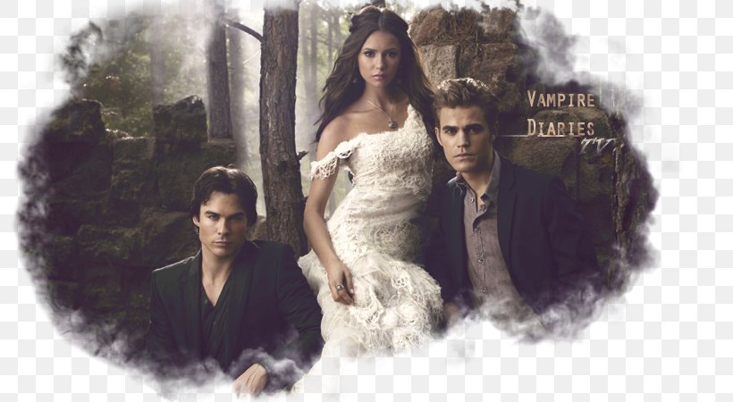 Elena Gilbert Stefan Salvatore The Vampire Diaries, PNG, 800x450px, Watercolor, Cartoon, Flower, Frame, Heart Download Free