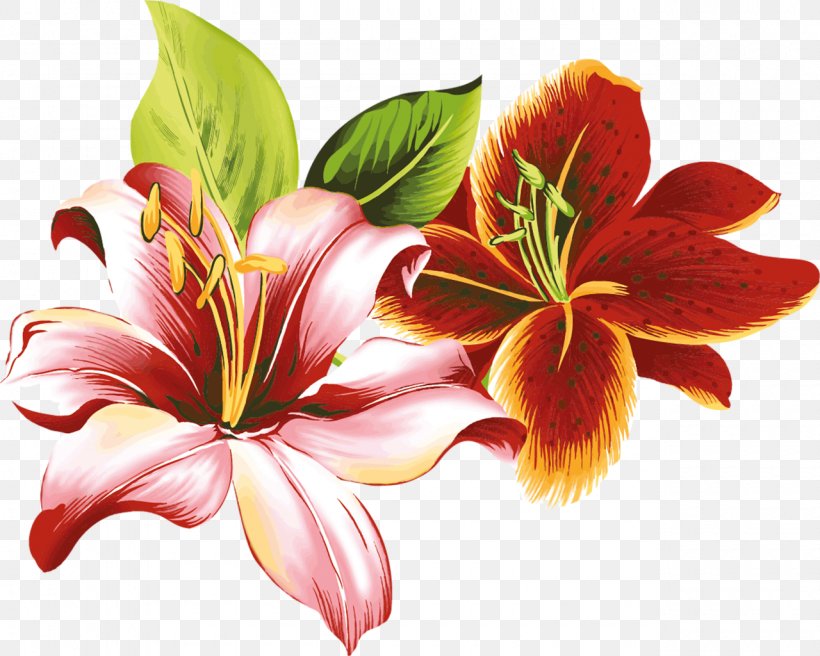 Hemerocallis Fulva Flower Lilium Clip Art, PNG, 1280x1024px, Hemerocallis Fulva, Blue, Color, Coloring Book, Daylily Download Free