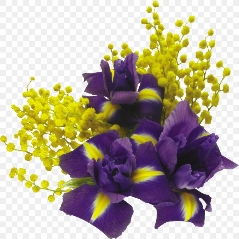Information, PNG, 1024x1024px, Information, Albom, Animation, Computer Software, Cut Flowers Download Free