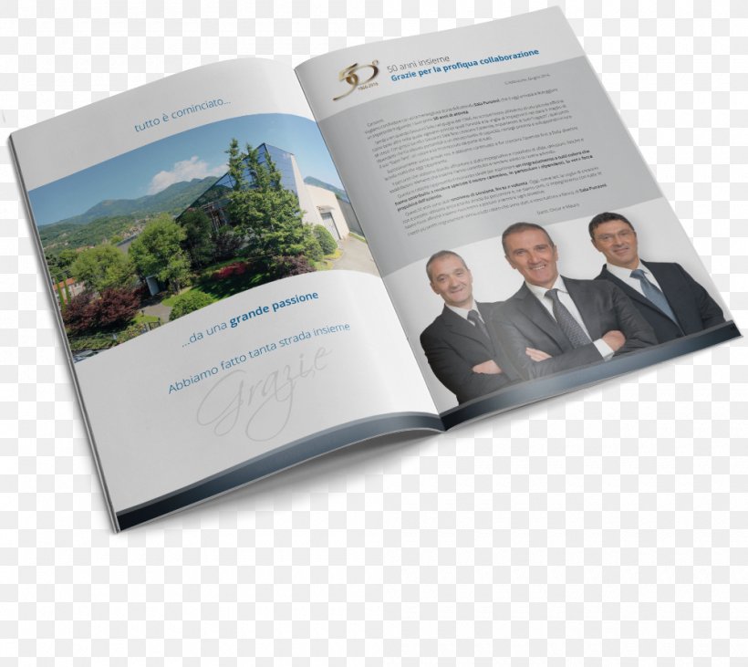 Olginate Sala Punzoni Organization Comb Leadership, PNG, 1000x892px, Organization, Anniversary, Brand, Brochure, Business Download Free