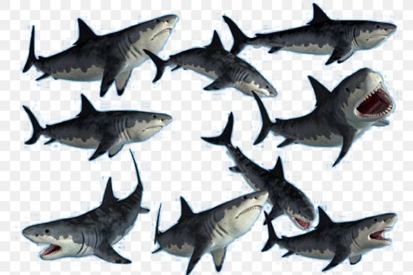 Requiem Shark Blue Shark Clip Art, PNG, 774x547px, Shark, Blue Shark, Cartilaginous Fish, Deviantart, Drawing Download Free