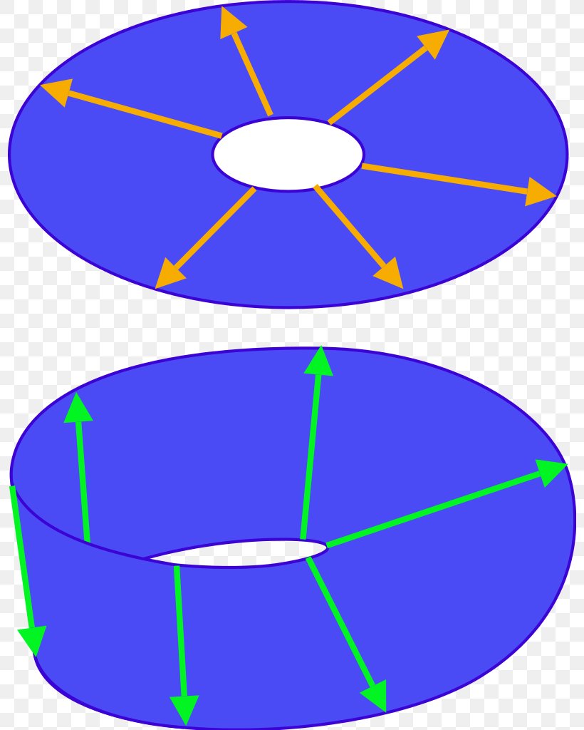 Spinor Plate Trick Information Wikimedia Foundation Wikipedia, PNG, 798x1024px, Spinor, Area, Electric Blue, Information, Mathematics Download Free