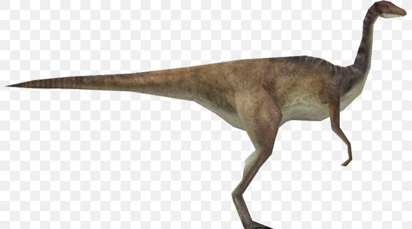 Velociraptor Jurassic Park: Operation Genesis Gallimimus Edmontosaurus Brachiosaurus, PNG, 800x456px, Velociraptor, Anatosaurus, Brachiosaurus, Dinosaur, Edmontosaurus Download Free