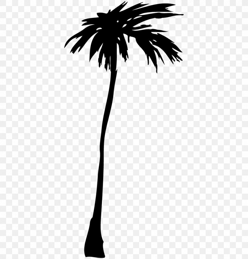 Asian Palmyra Palm Illustrator, PNG, 1000x1044px, Asian Palmyra Palm, Arecaceae, Arecales, Black And White, Borassus Download Free