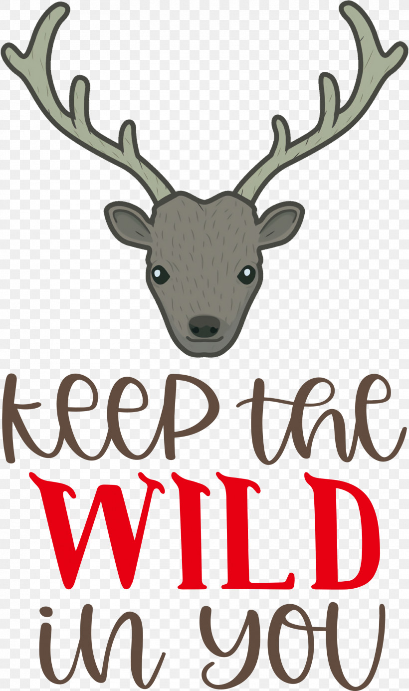 Keep Wild Deer, PNG, 1775x3000px, Keep Wild, Antler, Biology, Deer, Meter Download Free