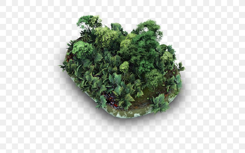 Plant Kale Herb Flowerpot Shrub, PNG, 512x512px, Icon Design, Avatar, Desktop Environment, Flowerpot, Grass Download Free