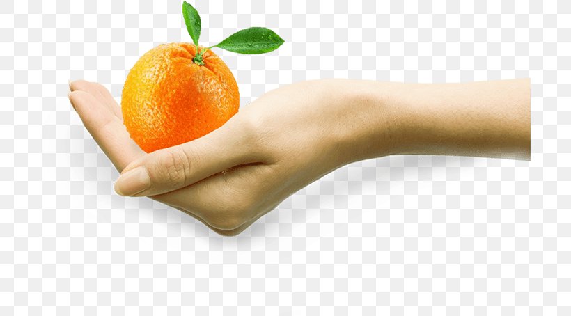 Smoothie Juice Tangelo Food Tangerine, PNG, 704x454px, Smoothie, Citric Acid, Citrus, Clementine, Diet Food Download Free