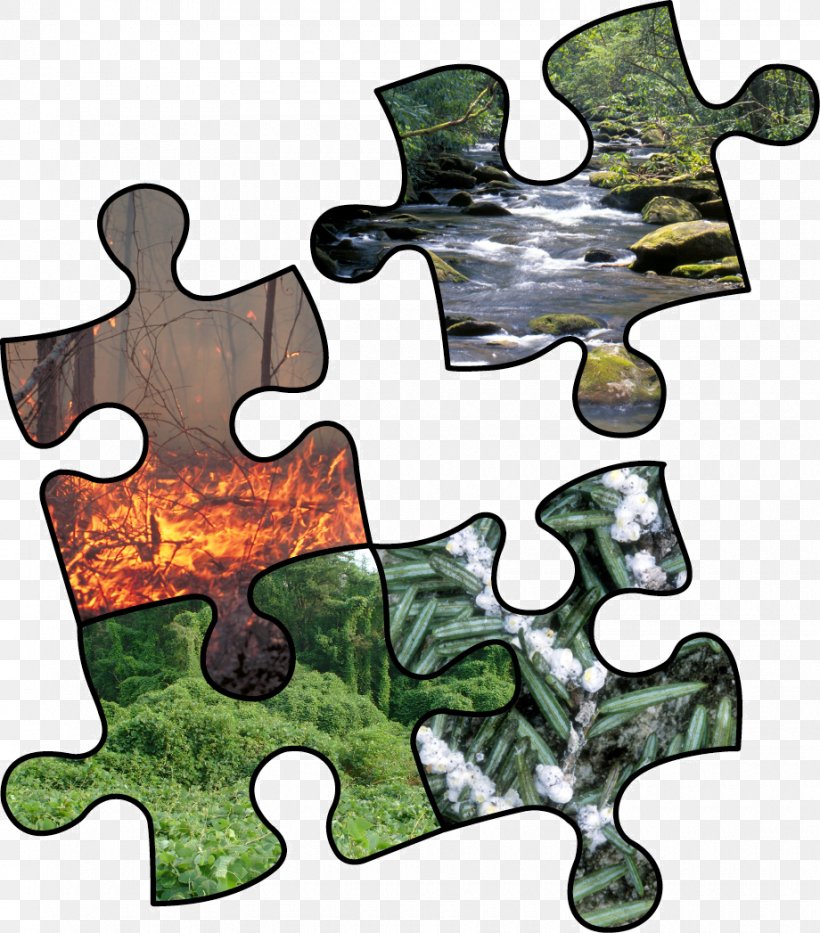 Risk Assessment Risk Management Riesgo Ambiental Natural Environment, PNG, 920x1047px, Risk Assessment, Craft, Forest, Forest Management, Jigsaw Puzzles Download Free