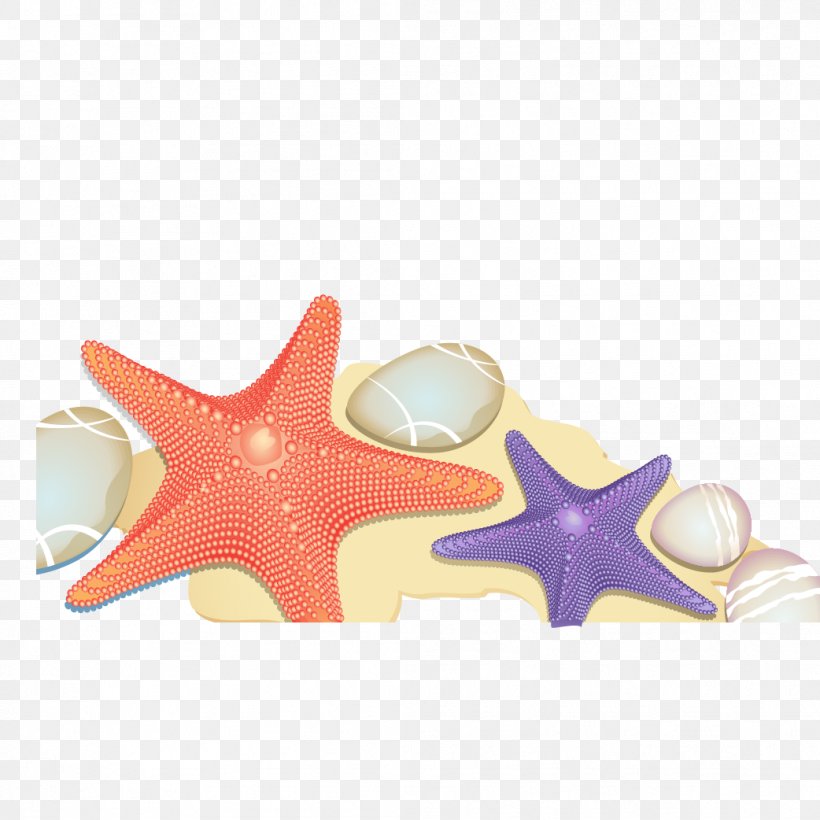 Starfish Euclidean Vector Sand Beach, PNG, 1042x1042px, Starfish, Beach, Cartoon, Cup, Drawing Download Free