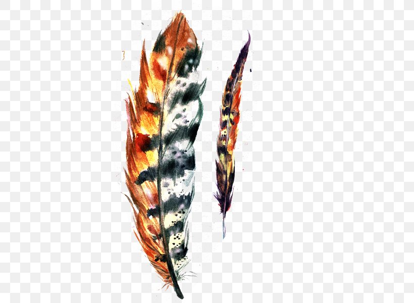 Feather Paper Drawing Illustration, PNG, 600x600px, Feather, Art, Claw, Crystal Cluster, Drawing Download Free