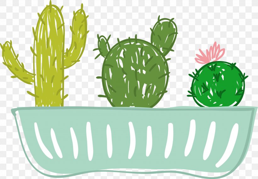 Cactus Illustration Graphics Drawing Flowerpot, PNG, 3000x2083px, Cactus, Cartoon, Drawing, Flowering Plant, Flowerpot Download Free