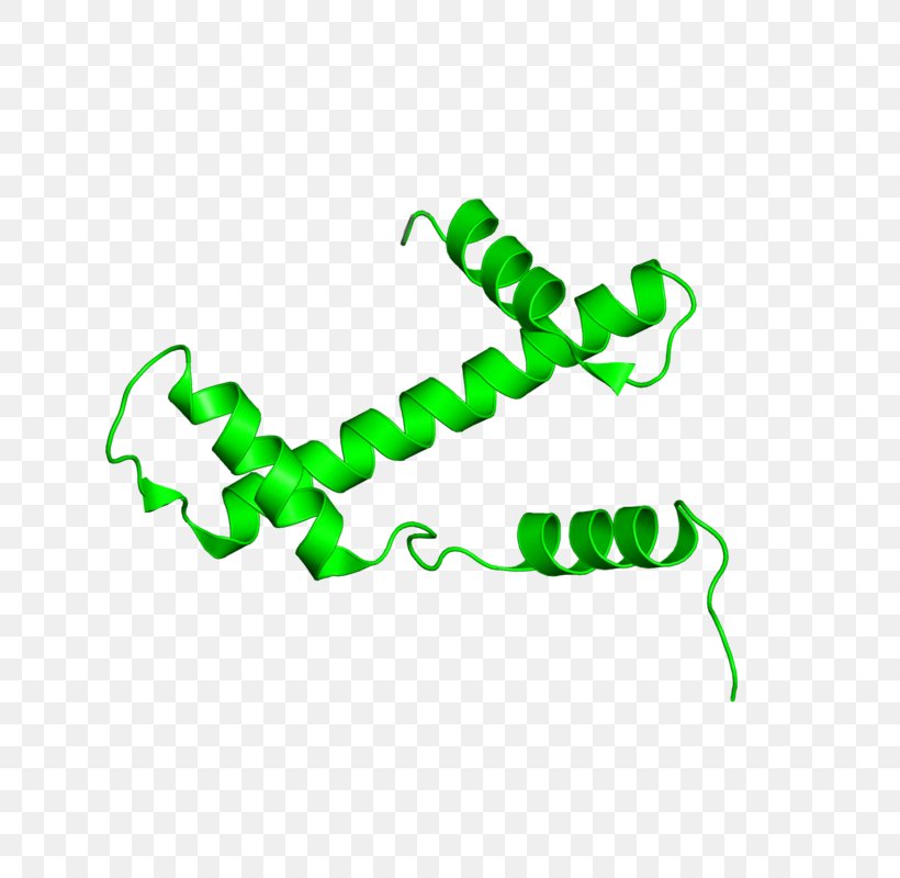 Green Logo Clip Art, PNG, 800x800px, Green, Area, Logo, Organism, Text Download Free