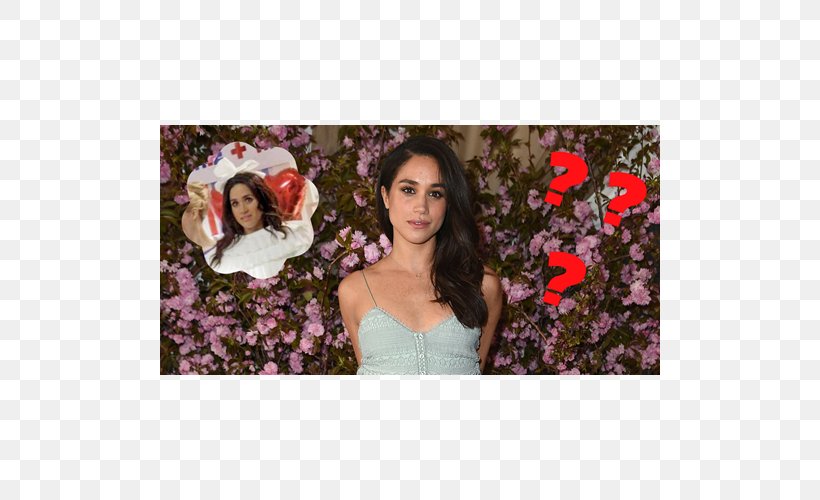 Wedding Of Prince Harry And Meghan Markle Suits Engagement Actor, PNG, 500x500px, Watercolor, Cartoon, Flower, Frame, Heart Download Free