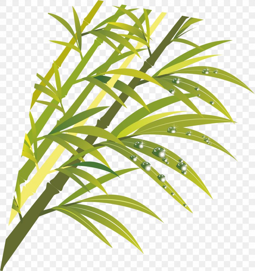 Bamboo ArtWorks, PNG, 2128x2263px, Bamboo, Adobe Systems, Arecales, Artworks, Cartoon Download Free