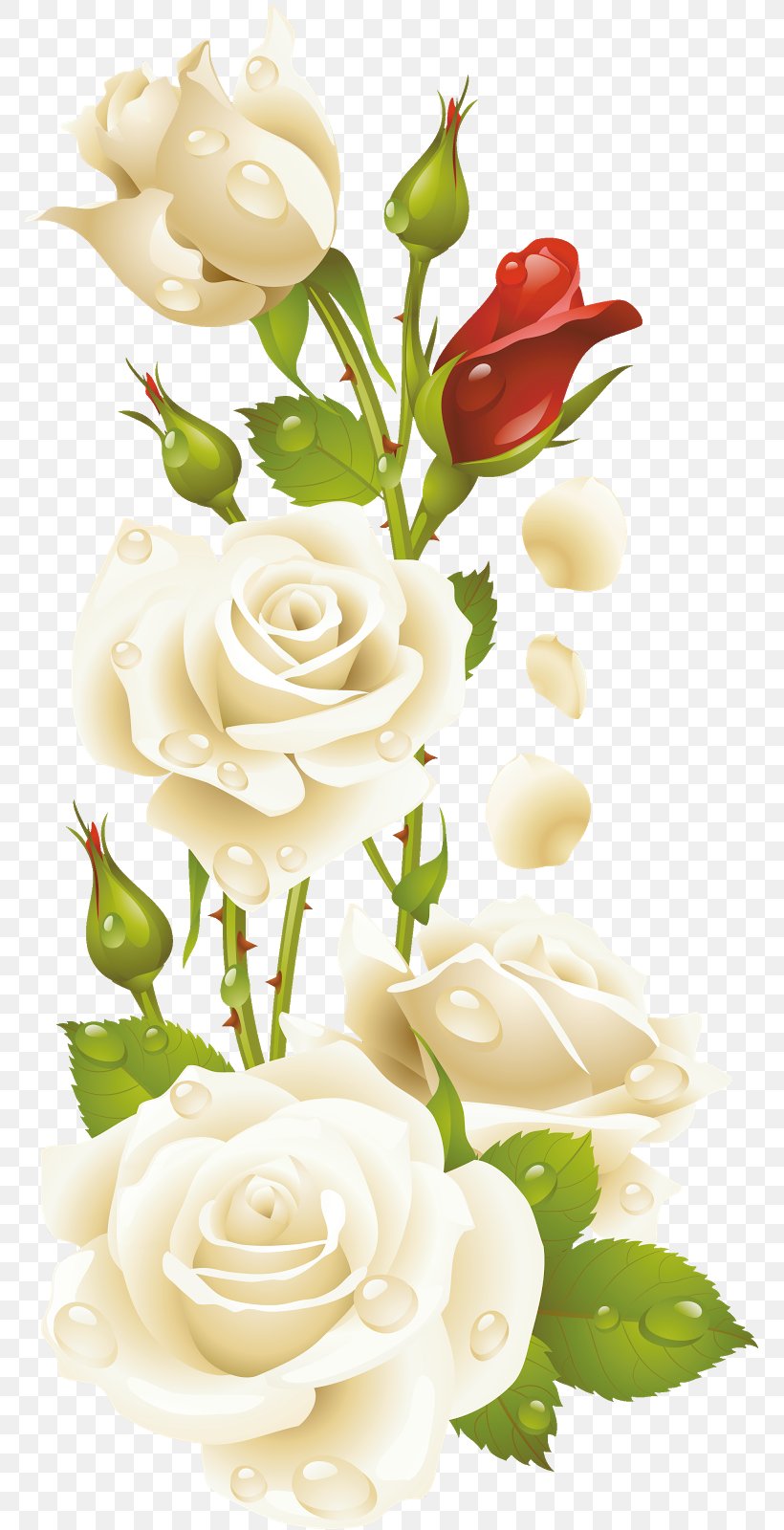 Centifolia Roses Flower Botany Garden Roses Floral Design, PNG, 770x1600px, Centifolia Roses, Artificial Flower, Blue Rose, Blume, Botany Download Free